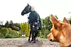 SKAL TILBAKE: Andrea vil tilbake i jobb som fjellsikrer. I mellomtiden bruker hun all tid på hest, hund og egen opptrening.