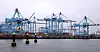 SJAUERNES JOBB: Den Internasjonale Transportarbeiderføderasjonen mener håndtering av containere skal foretas av havnearbeidere, ikke sjøfolk på containerskip, men to rettssaker i Rotterdam (bildet) og Hamburg, setter en foreløpig stopper for det.