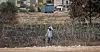 Rundt 115.000 palestinere på den okkuperte Vestbredden har mistet arbeidstillatelsene sine i Israel etter Hamas-angrepet i oktober 2023. Tusenvis risikerer livet ved å ta seg ulovlig forbi grensegjerdet for å finne arbeid.