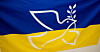 Nordmenn vil gjerne vise solidaritet med ukrainere. Dette flagget henger i Folkets Hus i Namsos.