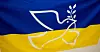 Nordmenn vil gjerne vise solidaritet med ukrainere. Dette flagget henger i Folkets Hus i Namsos.