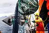 TORSKEN FOSSER INN: Per Arne Johannesen hiver inn store mengder skrei utenfor Henningsvær i Lofoten. På årets første gode skreidag, landet båten nesten 19 tonn fisk.