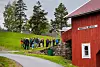 STERKE INNTRYKK: Ein vidaregåande skoleklasse er på besøk på Utøya. Her lærer elevar om terroren og demokrati, i eit samarbeid mellom Utøya og Det Europeiske Wergelandsenteret.