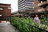 Tøyen er annerledes, hippere enn da hun vokste opp. Hun sier det irriterer henne at de som er derfra preses ut. Folk som henne, som har bodd der lenge har ikke råd.