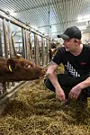 Bendik Kjærstad sitter på huk ved siden av en brun kalv i et halmstrødd fjøs.