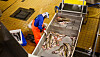Arbeidere i fiskeindustrien skal slippe å fryse.