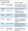 Modell1 Vernepleierstrategier