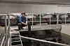 Bendik Kjærstad sitter på en stige ved et oppdrettskar i Gutvik.
