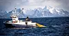 Oslo Høyre er det eneste fylkeslaget i partiet som har stemt ja til å verne Lofoten, Vesterålen og Senja.