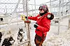 MORGEN, MIDDAG OG KVELD: Linda Marie besøker hundegården flere ganger om dagen. I 2019 deltok hun i det beintøffe Finnmarksløpet.
